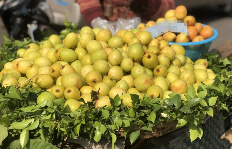 Trái cây được ca ngợi nhiều nhưng có thể gây độc với một số người 1 Trái cây nhiều dinh dưỡng nhưng không phù hợp với một số người. Ảnh: Ban Mai