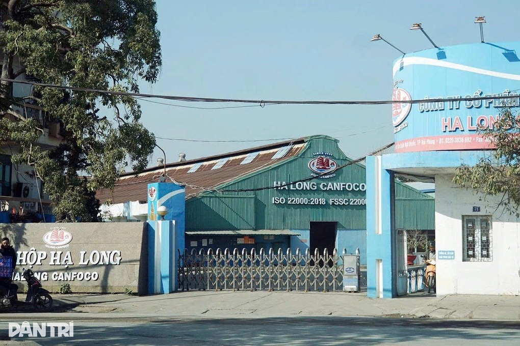 Trước vụ 130 tấn thịt lợn bệnh, Đồ hộp Hạ Long kinh doanh ra sao? - 1