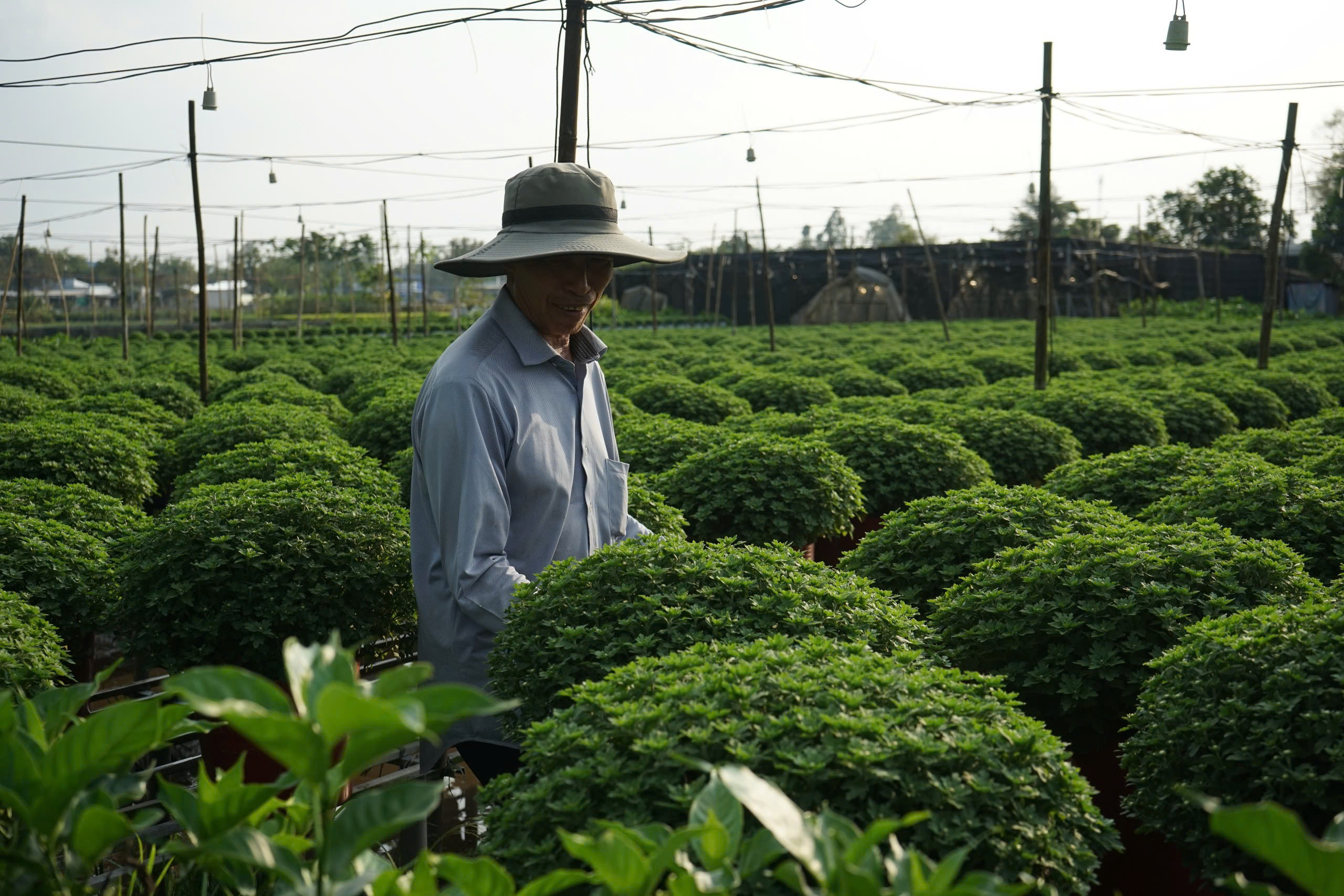 Từ nghề thuần nông đến di sản quốc gia- Ảnh 1.