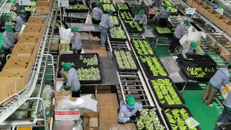 Từ thiếu lương thực đến cường quốc xuất khẩu nông sản - 1