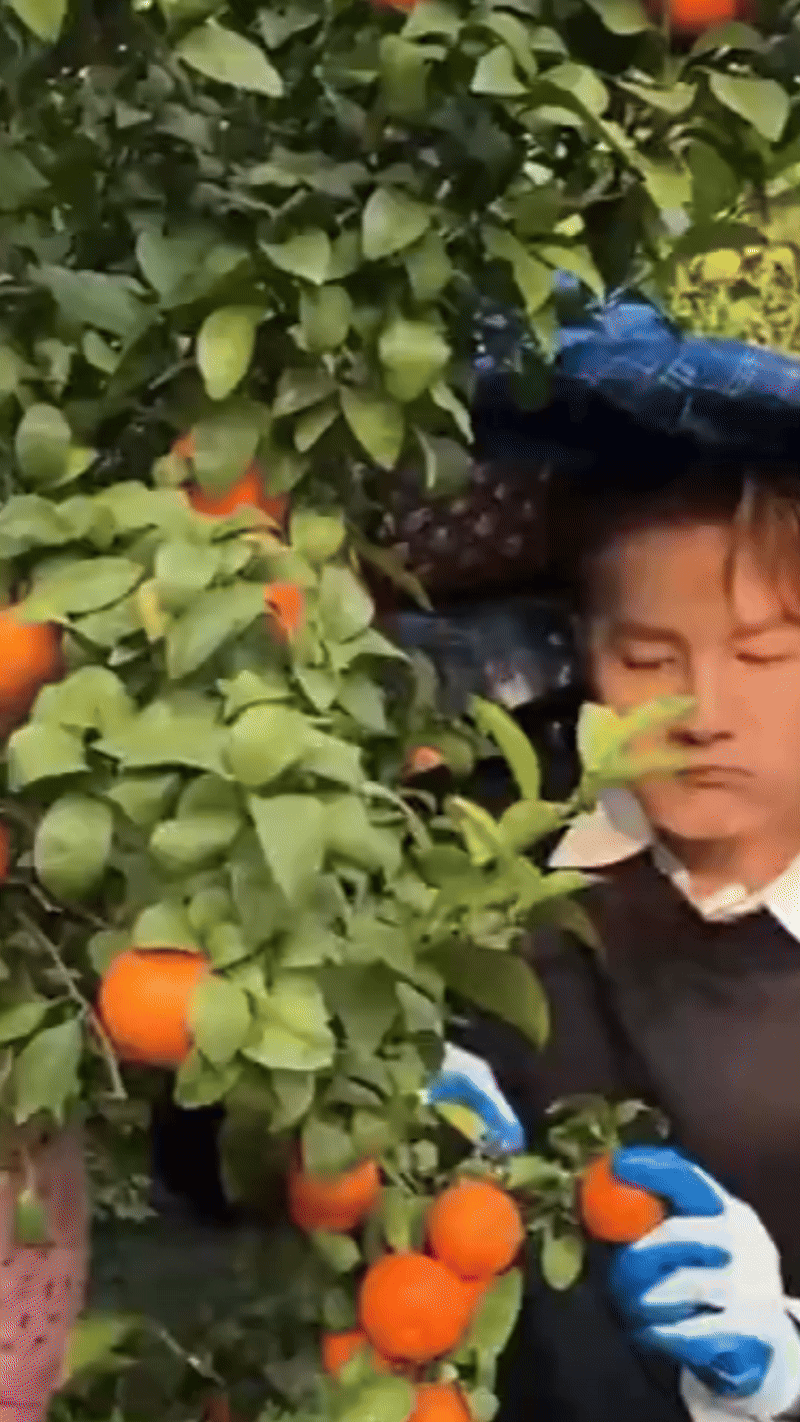 Sự hết thời của 1 Anh Trai Chông Gai: Từng khiến con gái đại gia điên đảo, giờ về quê đi hát đám cưới dạo- Ảnh 9.