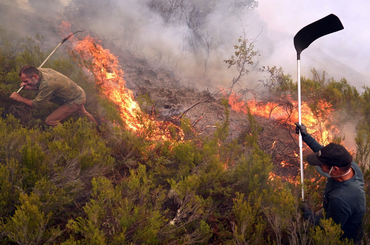 Vì sao, 2025 là một trong 3 năm nóng nhất lịch sử dù có La Nina?  - Ảnh 1.