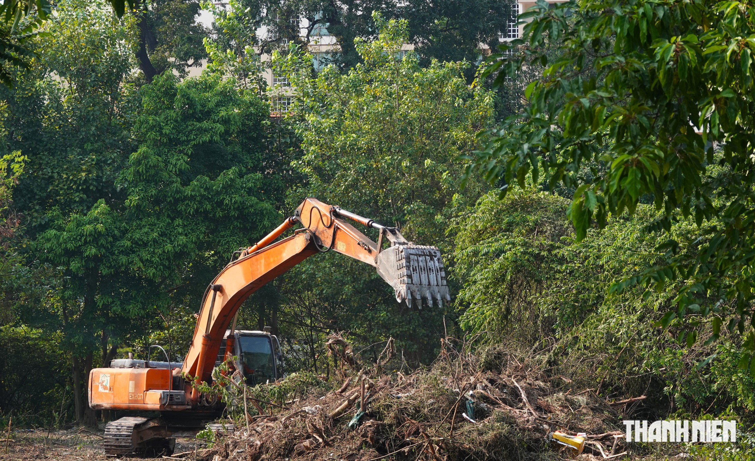 Vì sao cần chiến lược bài bản khi tận dụng 'đất vàng' bỏ trống ở TP.HCM? - Ảnh 1.