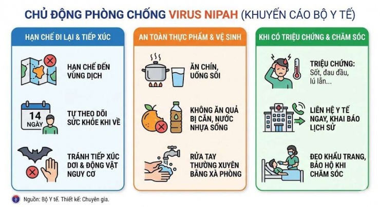 Vì sao dơi là vật chủ lý tưởng cho virus Nipah gây dịch bệnh? - 3