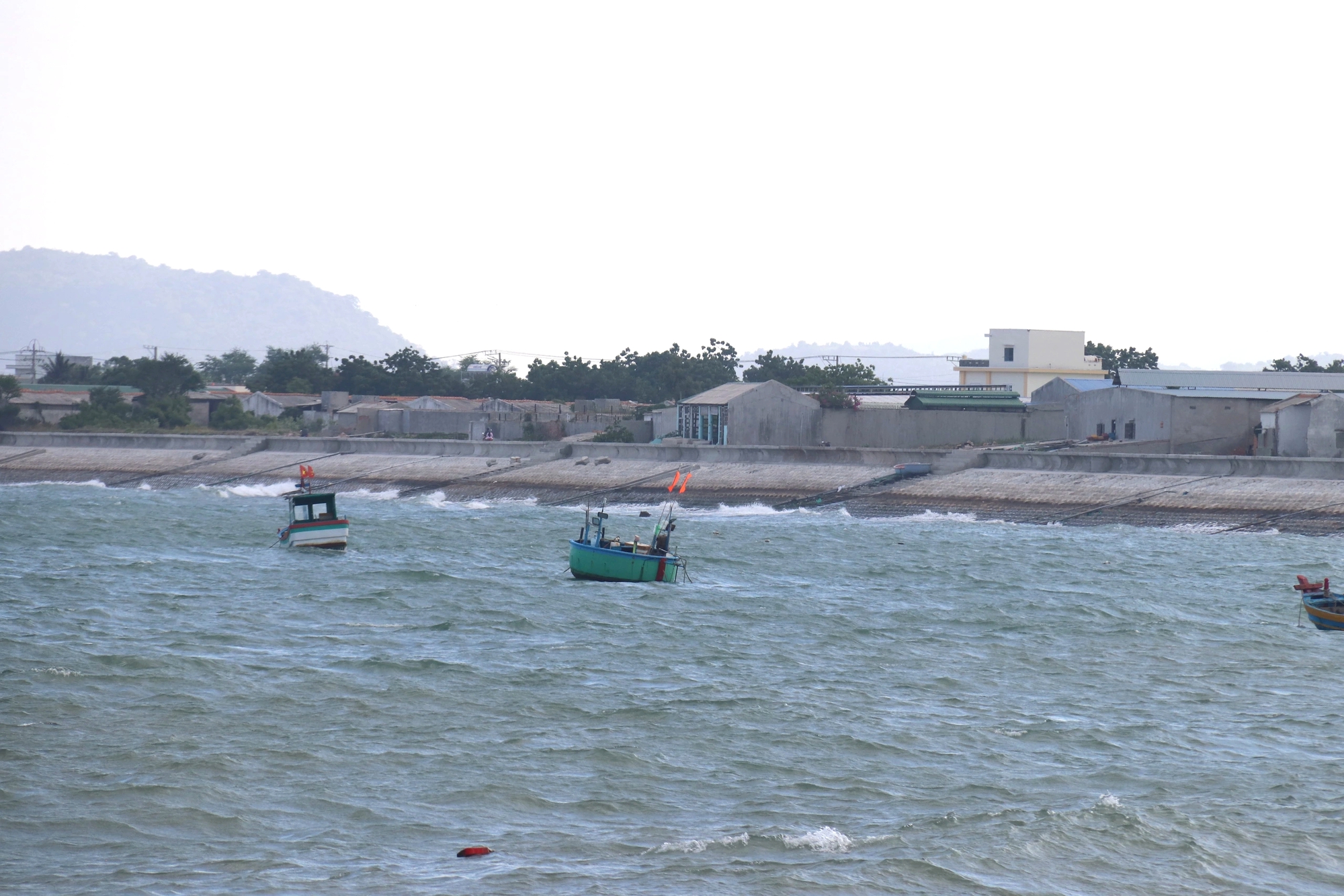 Sở KH-CN Lâm Đồng nói về việc dừng dự án 