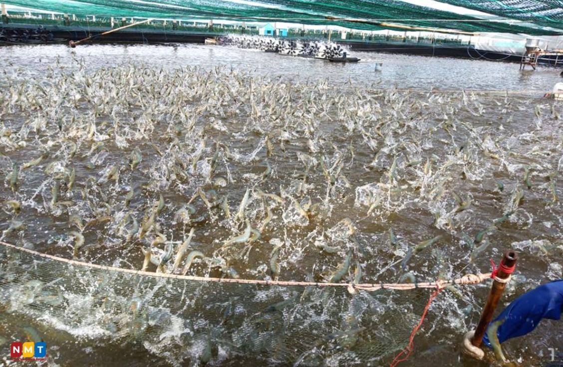 Sở KH-CN Lâm Đồng nói về việc dừng dự án 