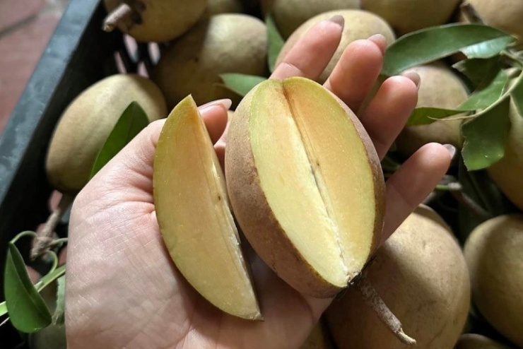 Hồng xiêm có nhiều ở Việt Nam lại tốt cho sức khỏe. (Ảnh minh họa: VietNamNet)