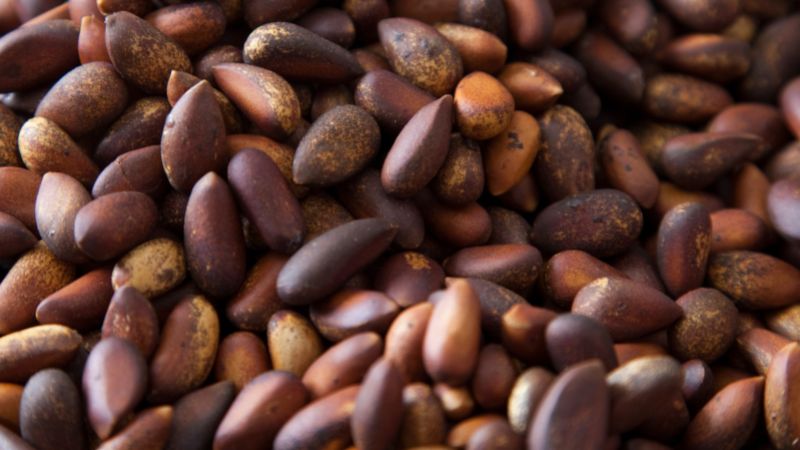 Loại quả đắt đỏ bậc nhất thế giới giá tới cả triệu đồng/kg: Việt Nam lại sở hữu cả vùng trồng rộng lớn- Ảnh 3.