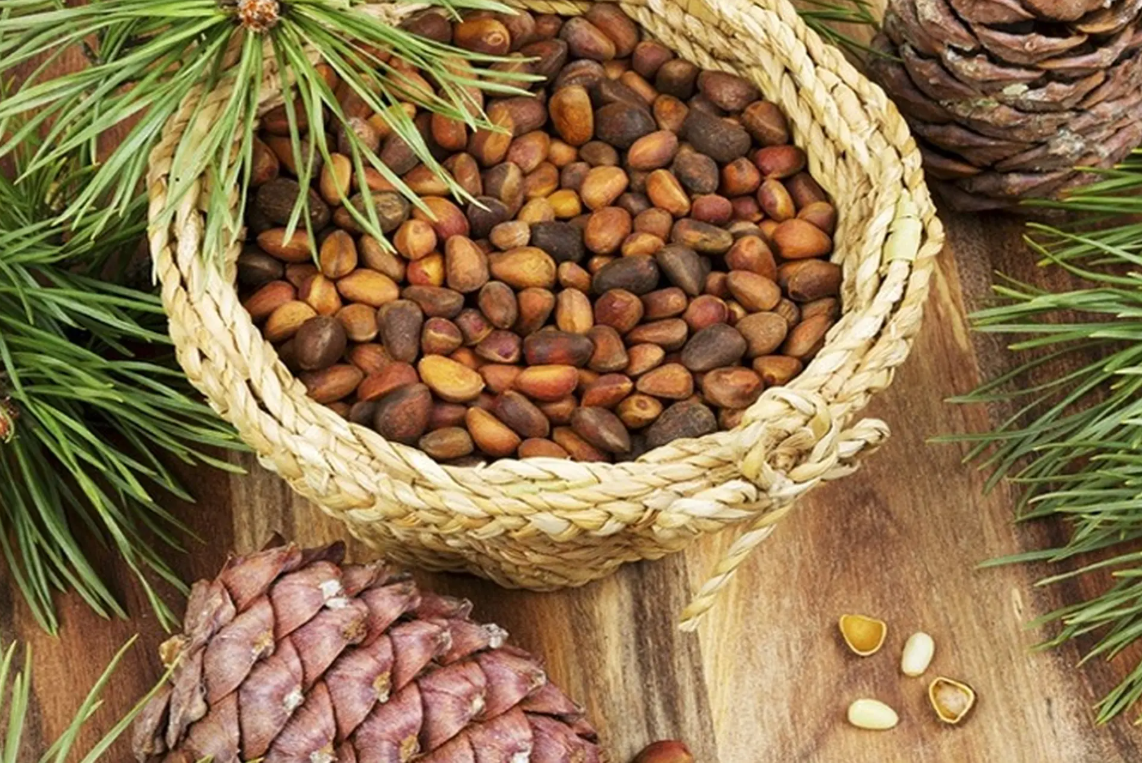 Loại quả đắt đỏ bậc nhất thế giới giá tới cả triệu đồng/kg: Việt Nam lại sở hữu cả vùng trồng rộng lớn- Ảnh 1.