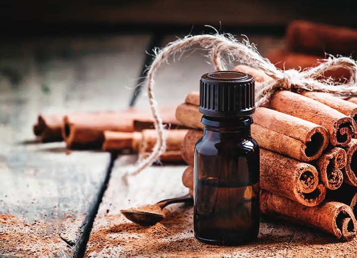 Việt Nam sở hữu một loại gia vị mà rắn rất sợ, dùng theo cách này hiệu quả bất ngờ- Ảnh 1.