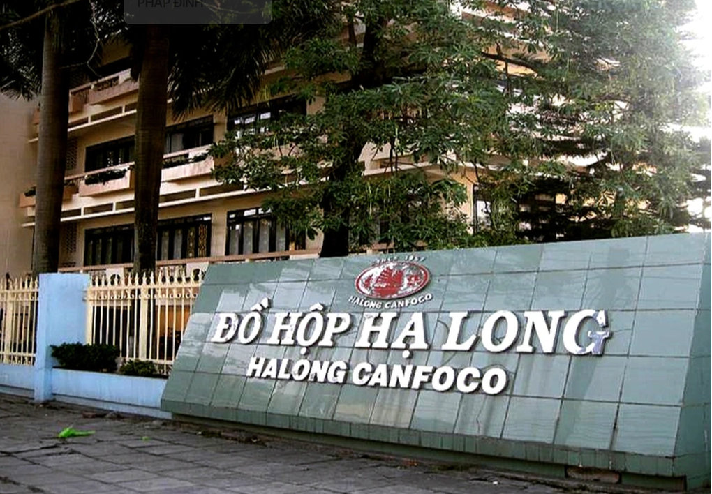 Vụ 130 tấn thịt lợn bệnh: Novaland sở hữu gián tiếp cổ phần Đồ hộp Hạ Long - 1