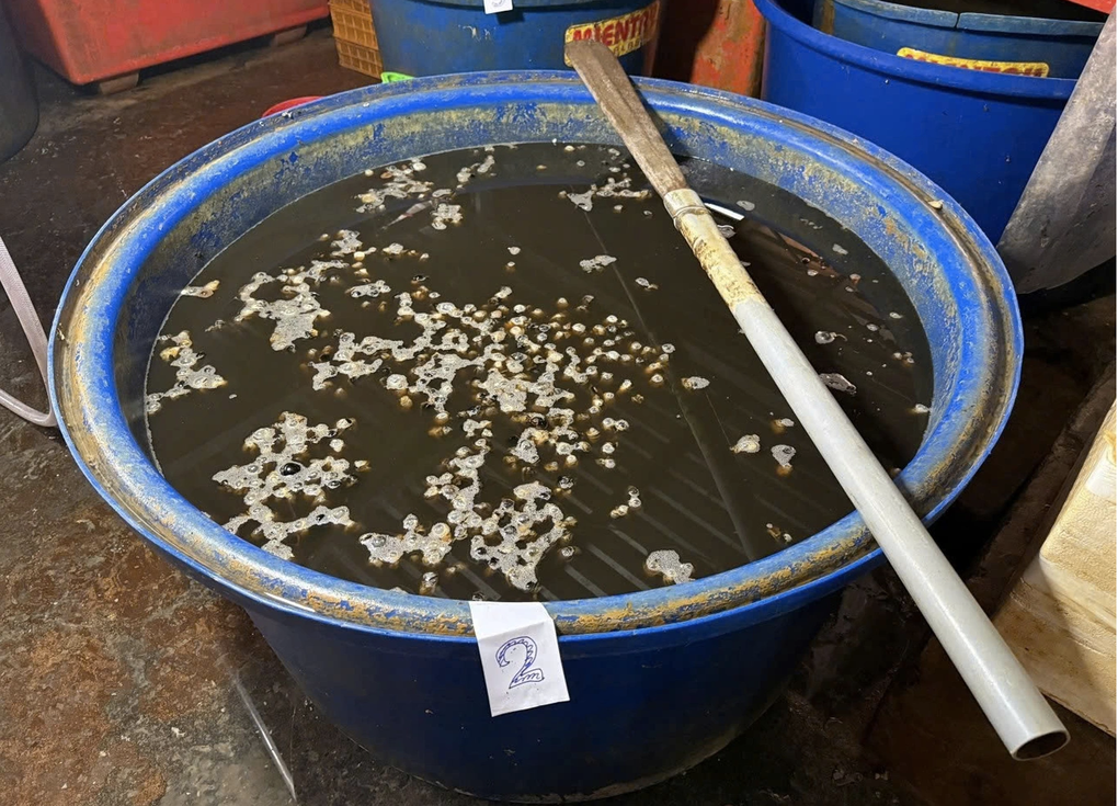 Vụ 3.000 tấn ốc ngâm hóa chất: Sở An toàn thực phẩm TPHCM lên tiếng - 2