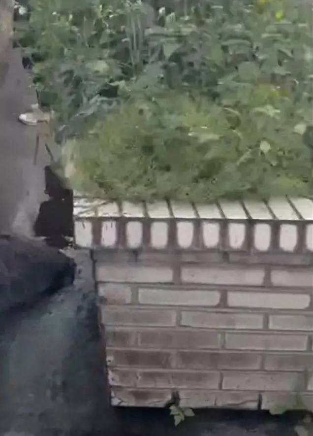 Bồn hoa ốp gạch trên tầng 9 trung tâm mua sắm ở Lô Châu - nơi phát hiện hài cốt. Ảnh: 163