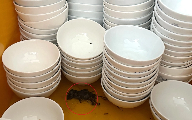 Vụ góc khuất sau những sảnh tiệc hào nhoáng: - Ảnh 1.