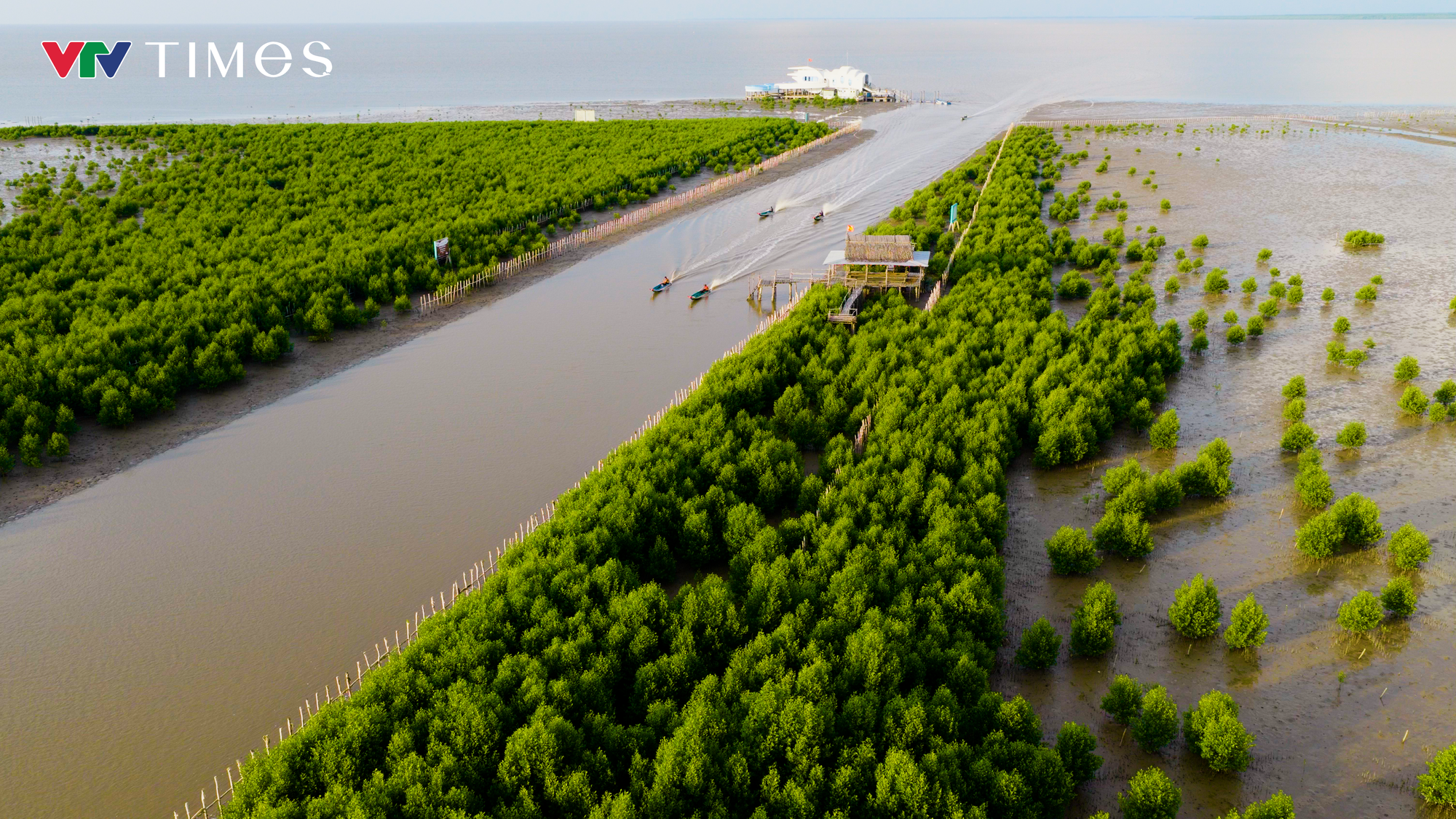 Vườn quốc gia Mũi Cà Mau trước thách thức biến đổi khí hậu- Ảnh 2.
