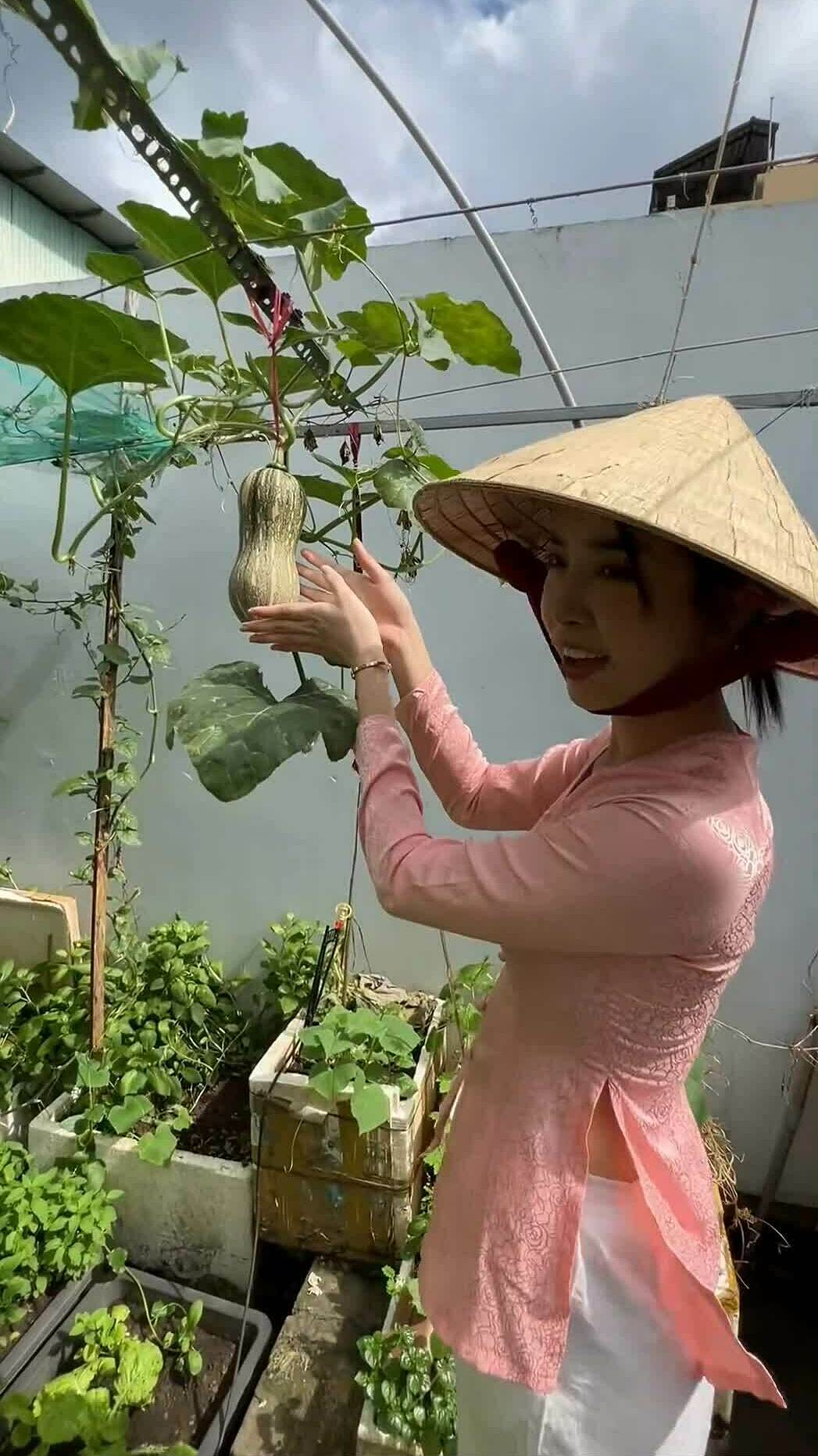 Vườn rau sân thượng ăn quanh năm của Á hậu Thúy An