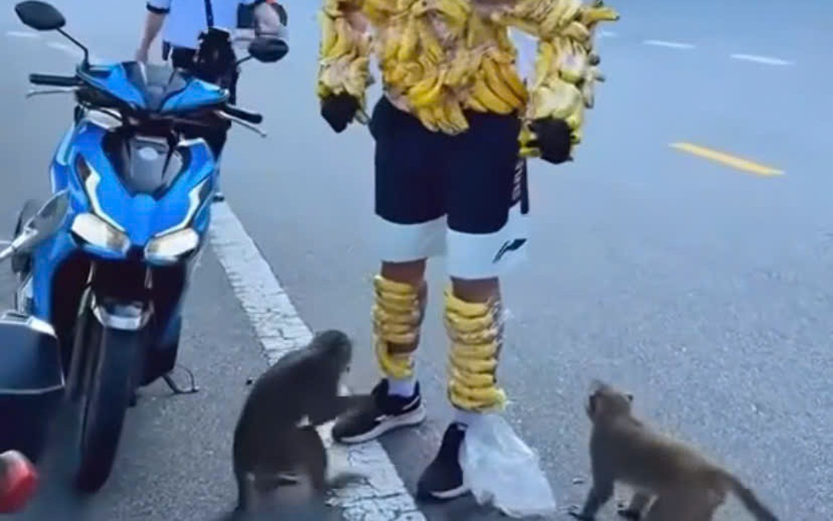 Xac minh nguoi chuoi choc gheo khi hoang da tren