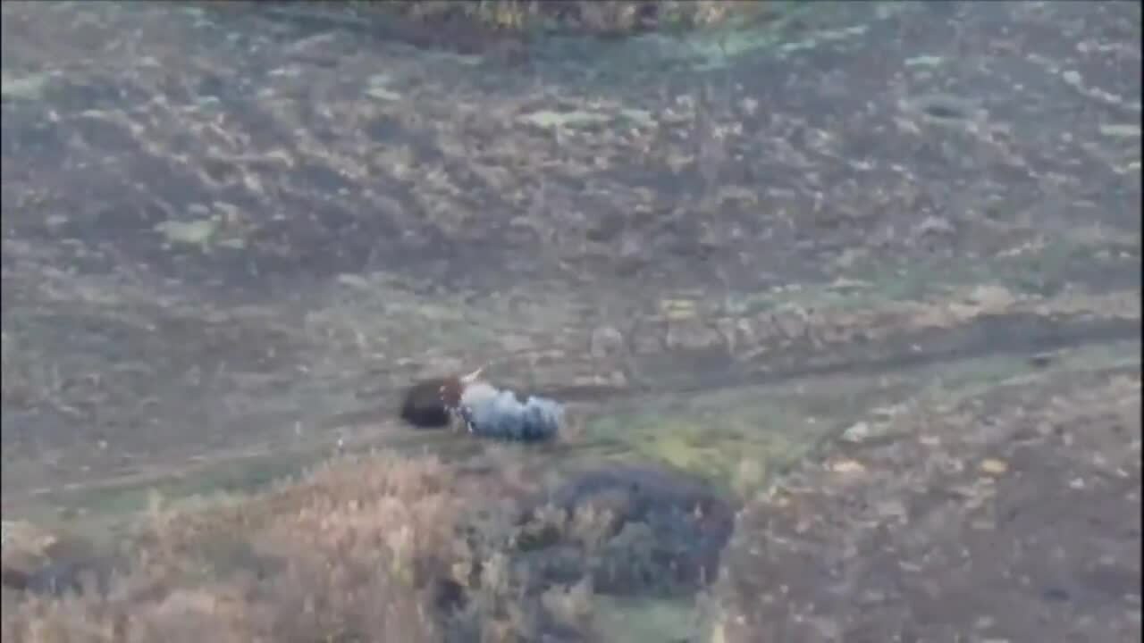 Thiết giáp M113 Ukraine lắp giáp lông nhím