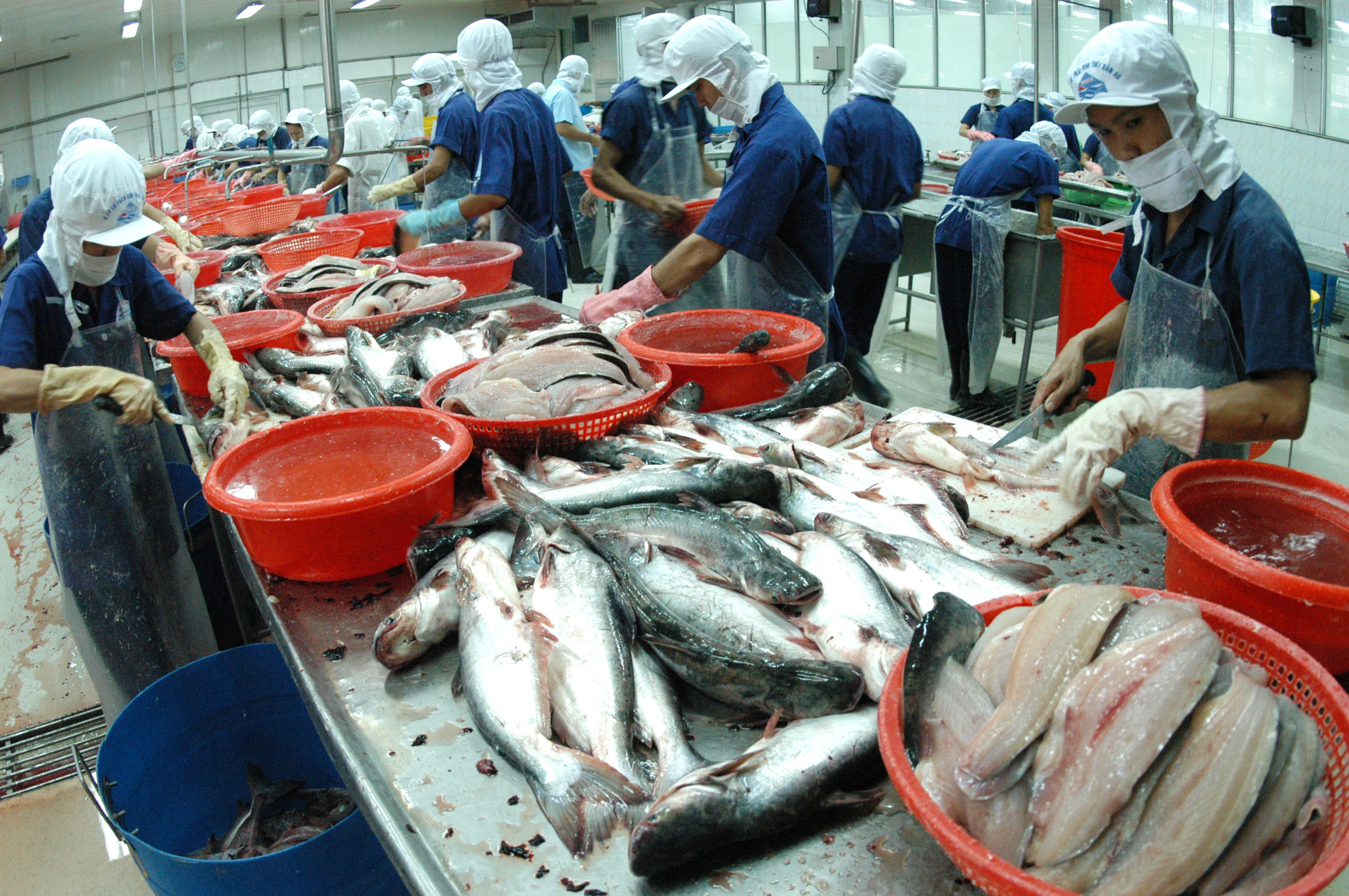 xuất khẩu - Ảnh 1.