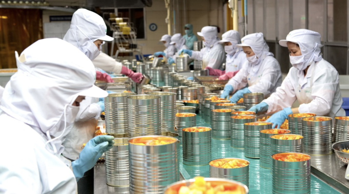 Công nhân nhà máy WestFood đang đóng hộp trái cây chế biến. Ảnh: Linh Đan