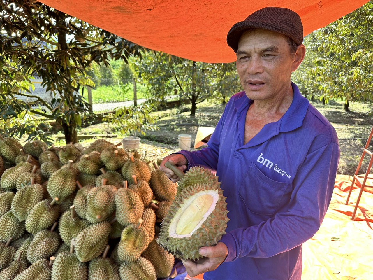 Xuất khẩu rau quả tiếp tục tăng mạnh tháng thứ 2   - Ảnh 1.