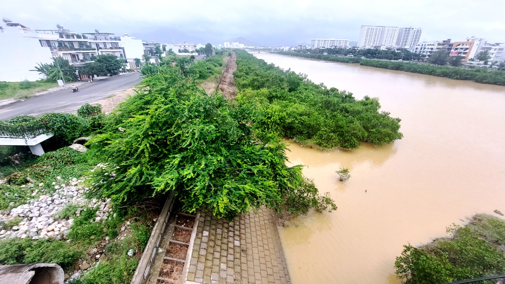 Yêu cầu tham mưu xử lý dứt điểm cây mọc trái thiết kế dự án thoát lũ ở Nha Trang 1 Nha Trang - Ảnh 1.