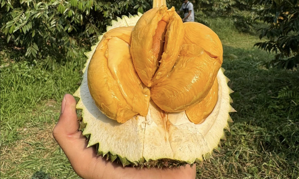 screen shot 2026 01 15 at 11 3 6880 2648 1768452682