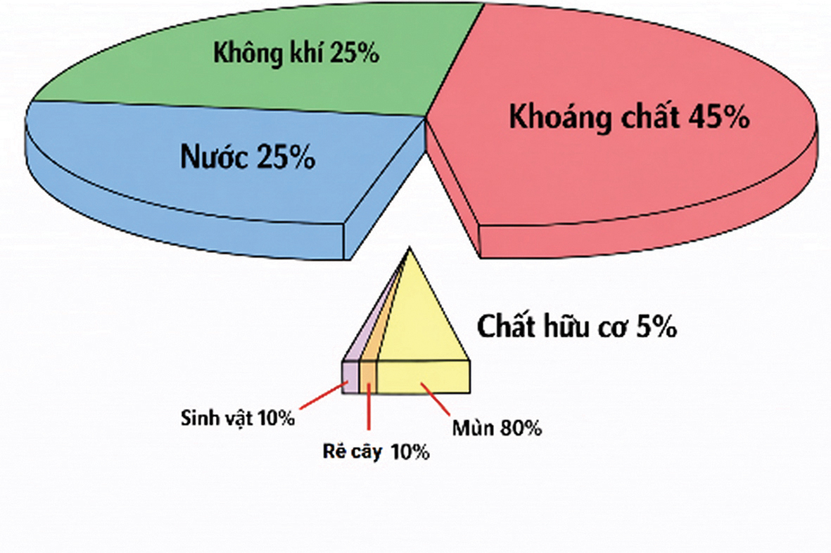 10 năm từ cọng rơm tới những khu vườn rừng: Ngộ nhận, vỡ lẽ và chuyển hóa - Ảnh 1. 10 năm từ cọng rơm tới những khu vườn rừng: Ngộ nhận, vỡ lẽ và chuyển hóa - Ảnh 1.