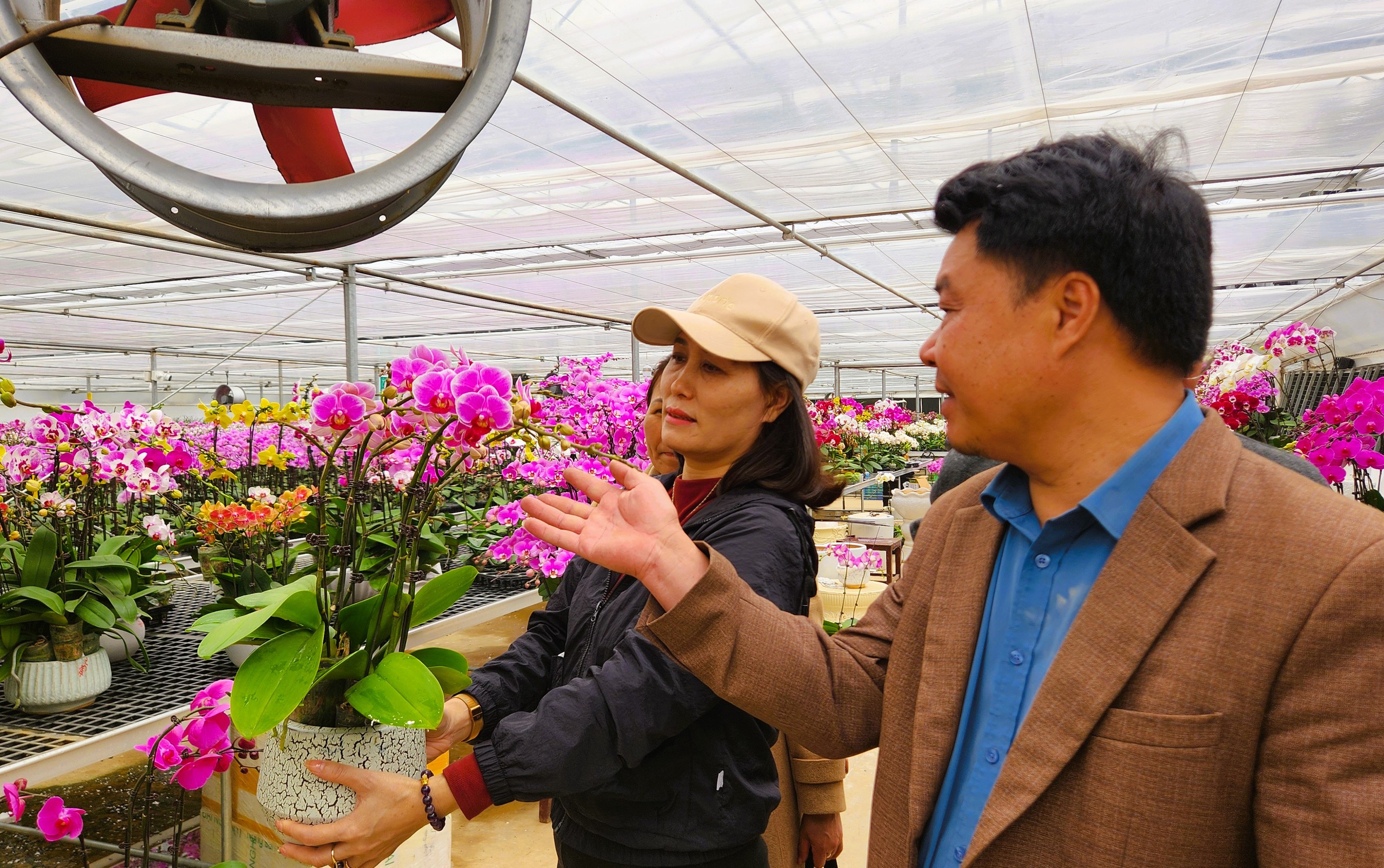 Đầu tư 10 tỉ đồng trồng loài hoa 