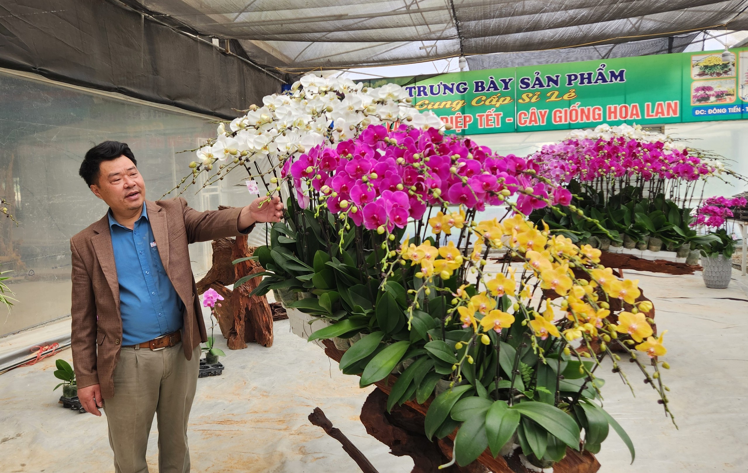 Đầu tư 10 tỉ đồng trồng loài hoa 