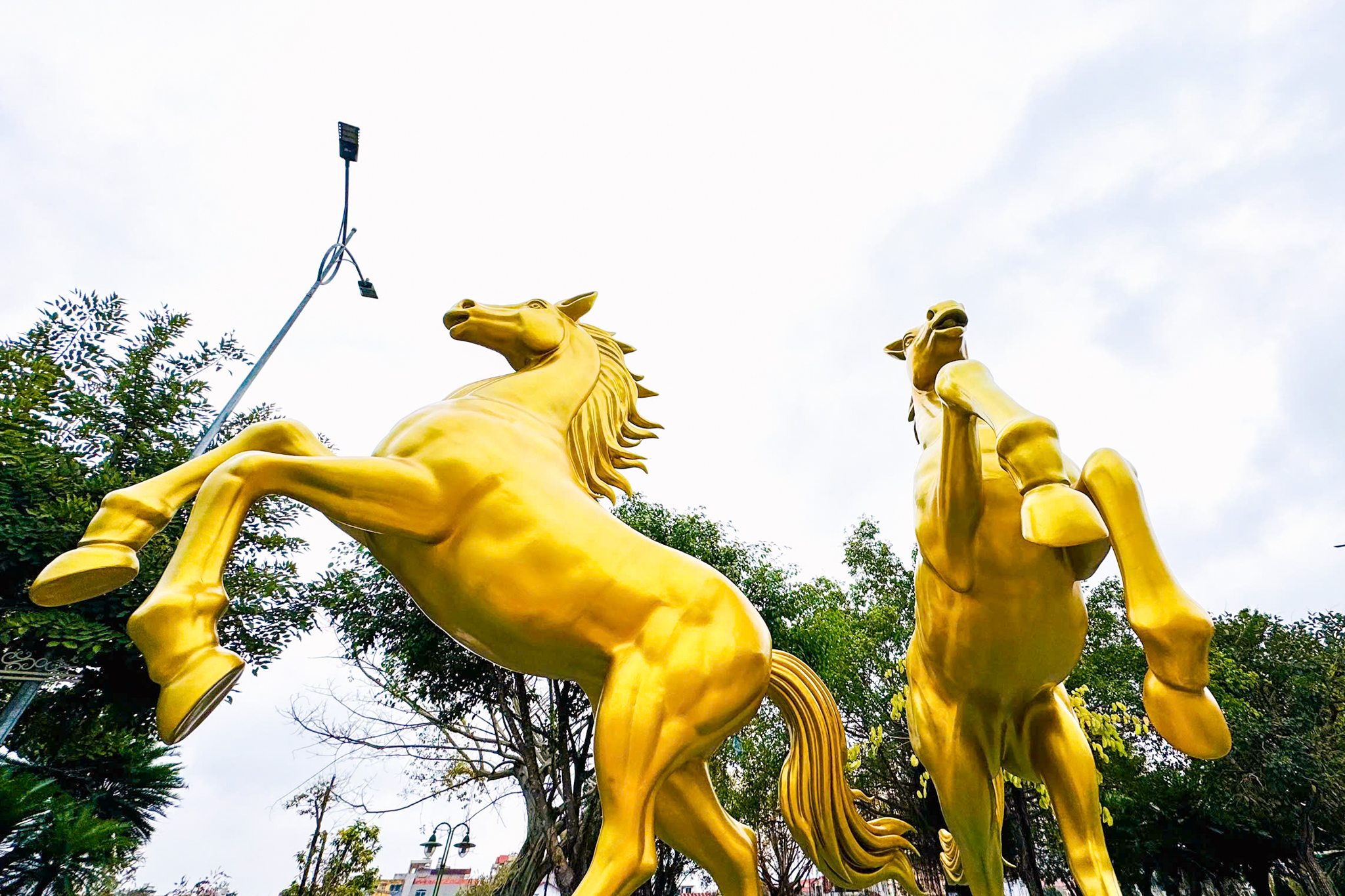 linh vật ngựa - Ảnh 2.