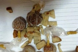 Ăn nhầm bả chó, bệnh nhi 2 tuổi nguy kịch