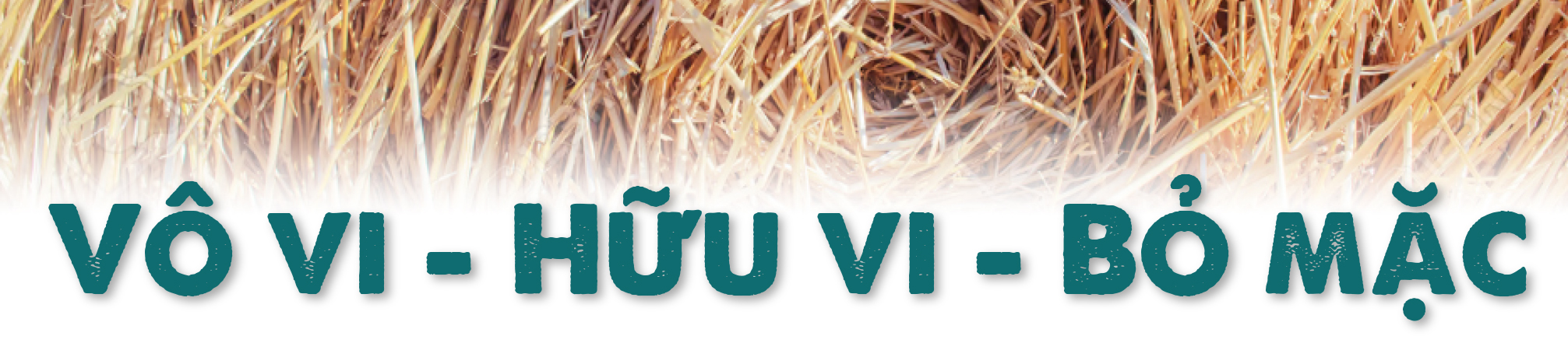 10 năm từ cọng rơm tới những khu vườn rừng: Ngộ nhận, vỡ lẽ và chuyển hóa - Ảnh 5. 10 năm từ cọng rơm tới những khu vườn rừng: Ngộ nhận, vỡ lẽ và chuyển hóa - Ảnh 5.