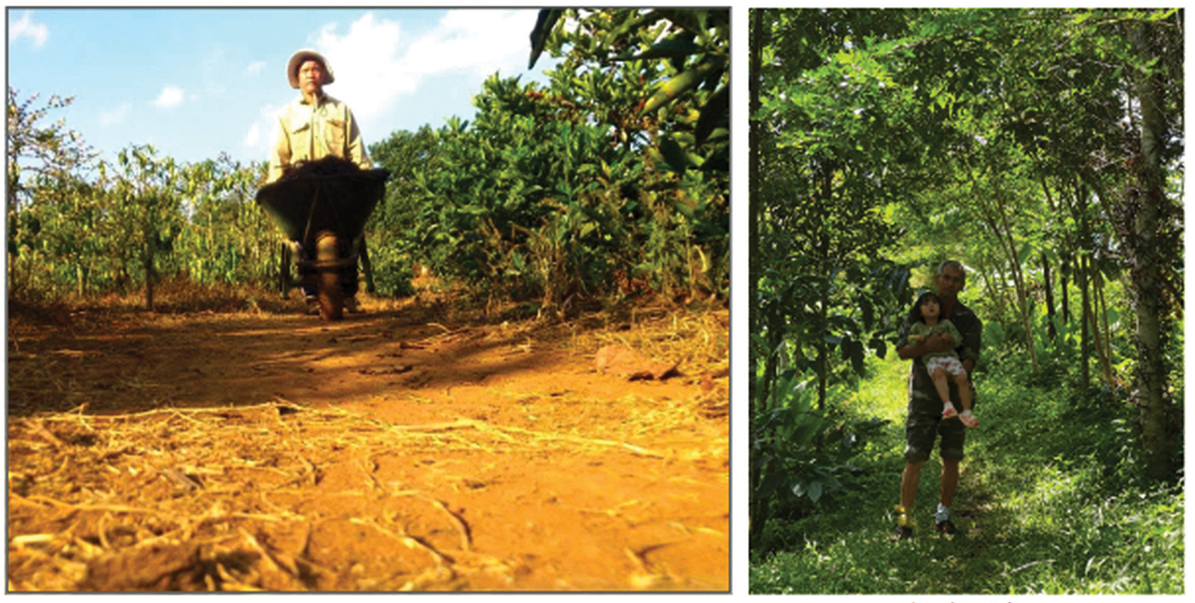 10 năm từ cọng rơm tới những khu vườn rừng: Ngộ nhận, vỡ lẽ và chuyển hóa - Ảnh 6. 10 năm từ cọng rơm tới những khu vườn rừng: Ngộ nhận, vỡ lẽ và chuyển hóa - Ảnh 6.