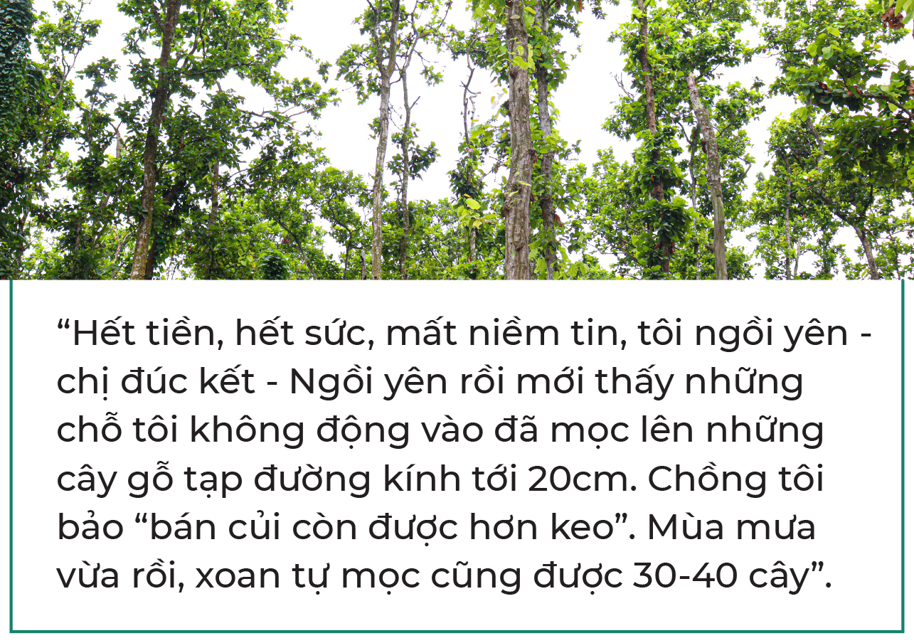 10 năm từ cọng rơm tới những khu vườn rừng: Ngộ nhận, vỡ lẽ và chuyển hóa - Ảnh 7. 10 năm từ cọng rơm tới những khu vườn rừng: Ngộ nhận, vỡ lẽ và chuyển hóa - Ảnh 7.