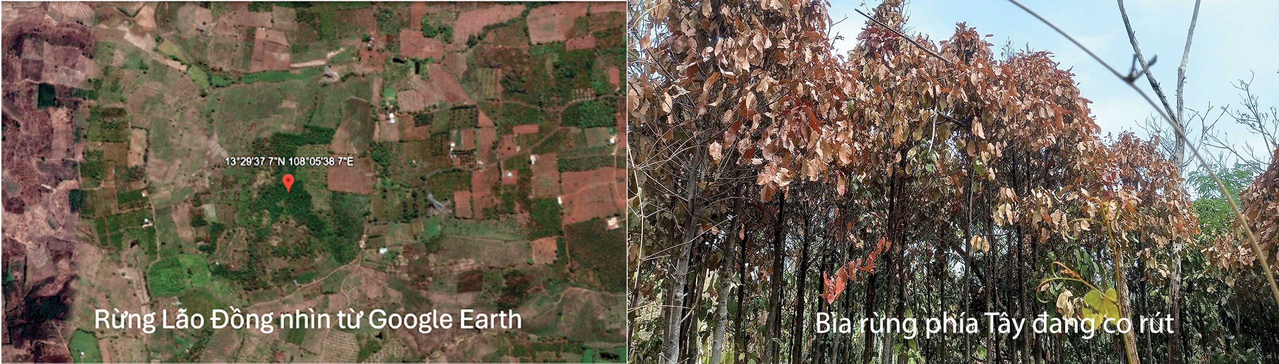 10 năm từ cọng rơm tới những khu vườn rừng: Ngộ nhận, vỡ lẽ và chuyển hóa - Ảnh 11. 10 năm từ cọng rơm tới những khu vườn rừng: Ngộ nhận, vỡ lẽ và chuyển hóa - Ảnh 11.