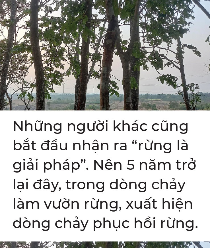 10 năm từ cọng rơm tới những khu vườn rừng: Ngộ nhận, vỡ lẽ và chuyển hóa - Ảnh 12. 10 năm từ cọng rơm tới những khu vườn rừng: Ngộ nhận, vỡ lẽ và chuyển hóa - Ảnh 12.