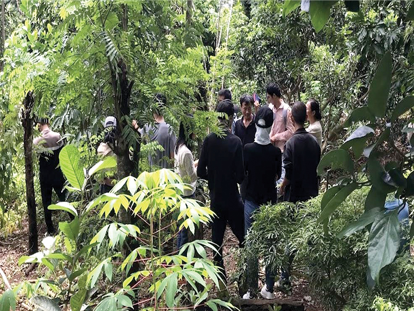 10 năm từ cọng rơm tới những khu vườn rừng: Ngộ nhận, vỡ lẽ và chuyển hóa - Ảnh 14. 10 năm từ cọng rơm tới những khu vườn rừng: Ngộ nhận, vỡ lẽ và chuyển hóa - Ảnh 14.