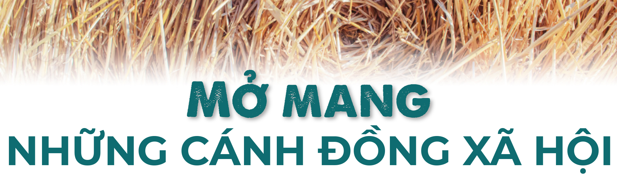 10 năm từ cọng rơm tới những khu vườn rừng: Ngộ nhận, vỡ lẽ và chuyển hóa - Ảnh 15. 10 năm từ cọng rơm tới những khu vườn rừng: Ngộ nhận, vỡ lẽ và chuyển hóa - Ảnh 15.