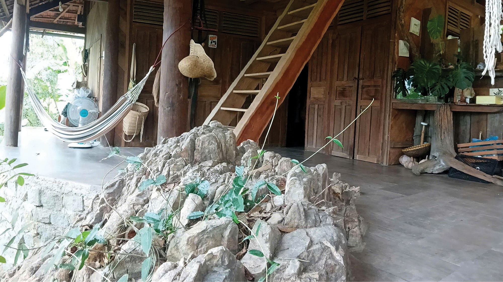 10 năm từ cọng rơm tới những khu vườn rừng: Ngộ nhận, vỡ lẽ và chuyển hóa - Ảnh 17. 10 năm từ cọng rơm tới những khu vườn rừng: Ngộ nhận, vỡ lẽ và chuyển hóa - Ảnh 17.