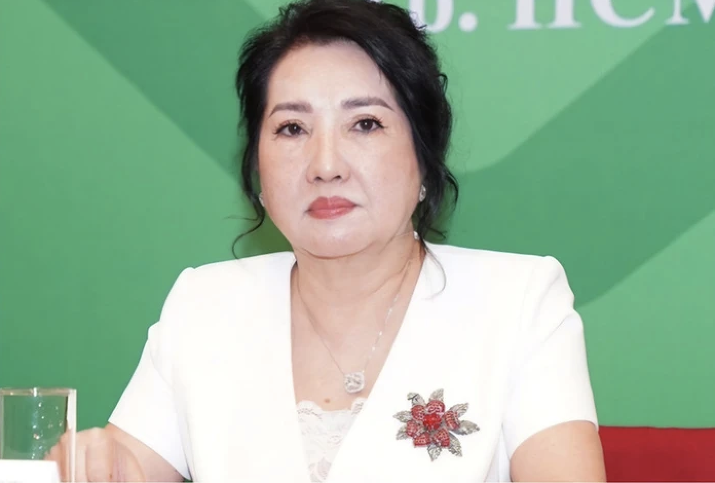 Truy tố Quốc Cường Gia Lai: Nguyễn Thị Như Loan và các bị can liên quan - Ảnh 2.