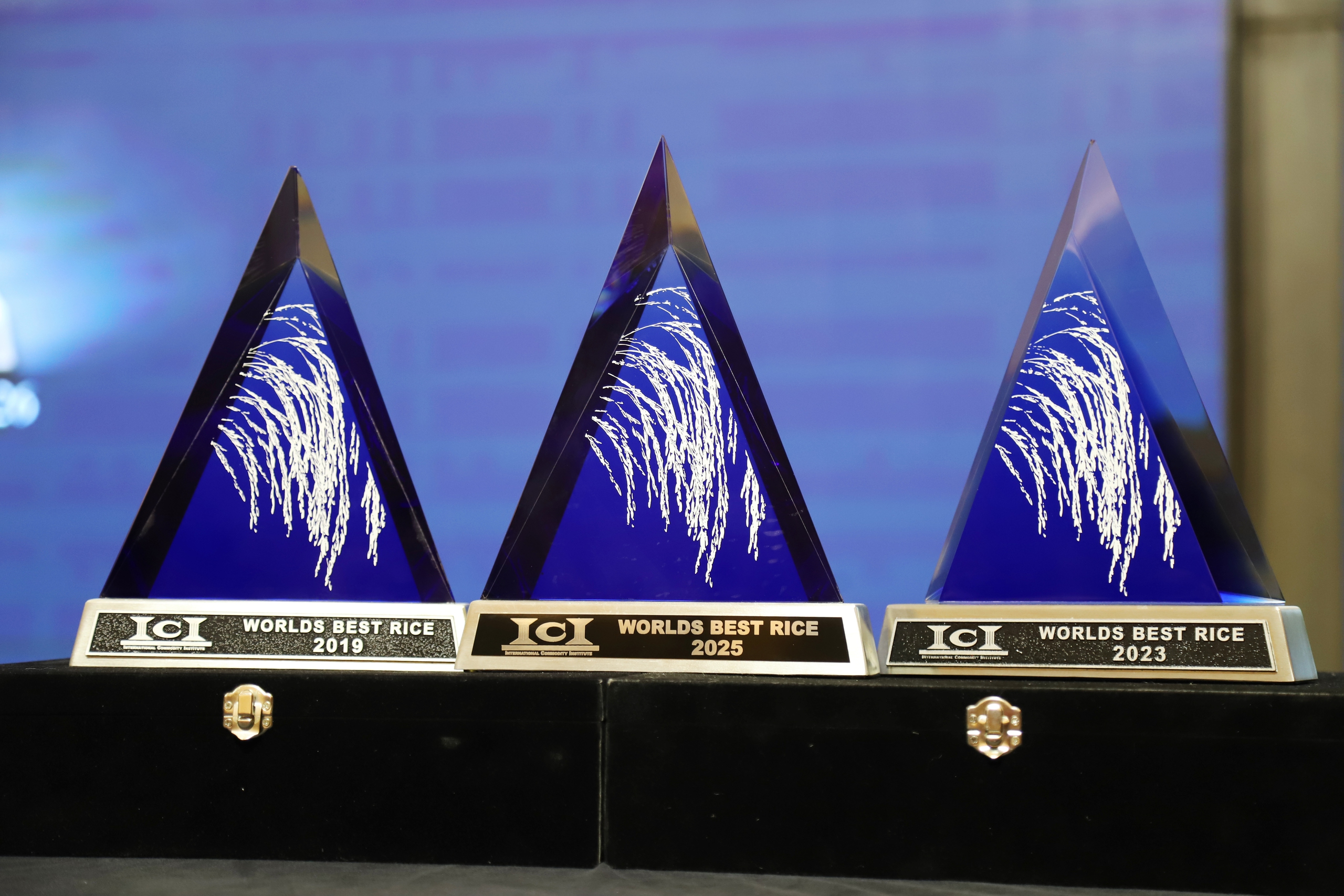 Hồ Quang Cua - Ảnh 3.