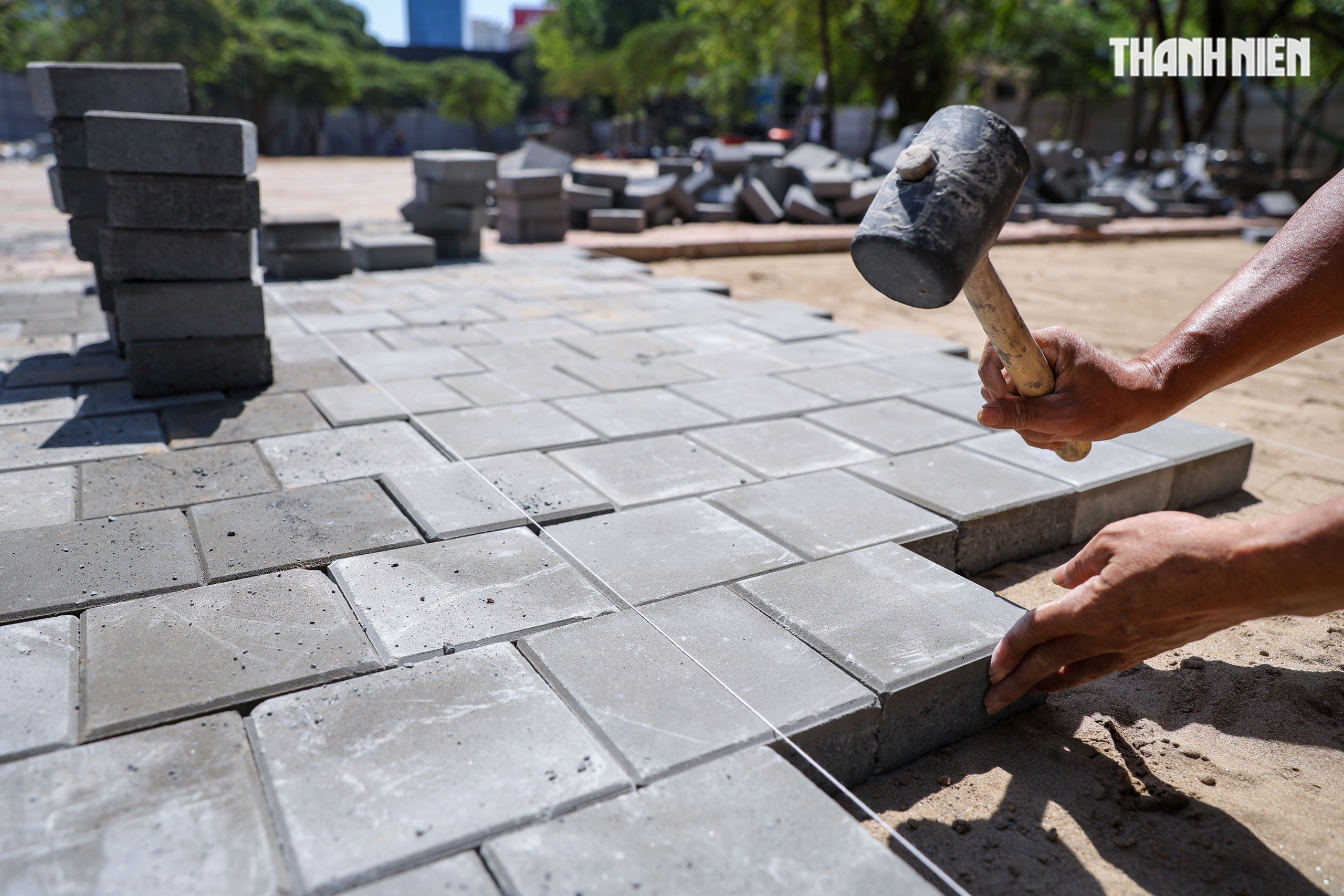 Đất vàng trung tâm TP.HCM hết cảnh bỏ hoang, thêm điểm check-in tết đẳng cấp- Ảnh 5. Đất vàng trung tâm TP.HCM hết cảnh bỏ hoang, thêm điểm check-in tết đẳng cấp- Ảnh 5.