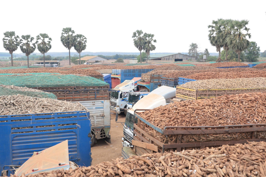 Nỗ lực giải quyết ùn tắc hàng hóa ở cửa khẩu- Ảnh 2.