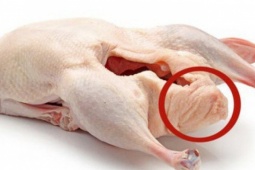 Món ngon từ phao câu gà, vịt và lời khuyên của bác sĩ