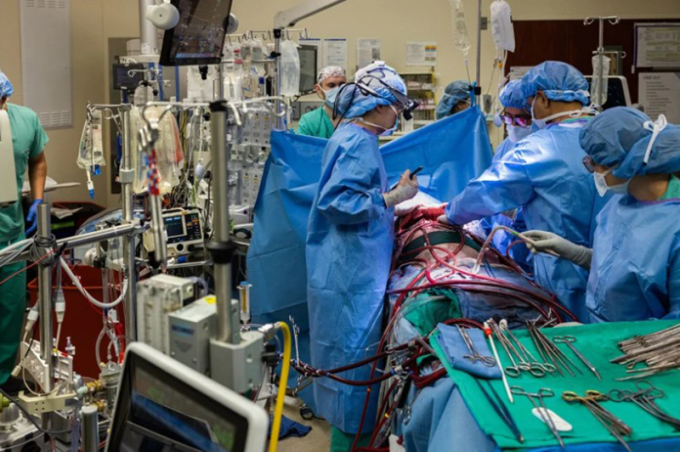 Các phẫu thuật viên cắt bỏ hai lá phổi bị nhiễm trùng của bệnh nhân, sau đó, sử dụng một hệ thống phổi nhân tạo để duy trì sự sống cho người bệnh. Ảnh: Northwestern Medicine