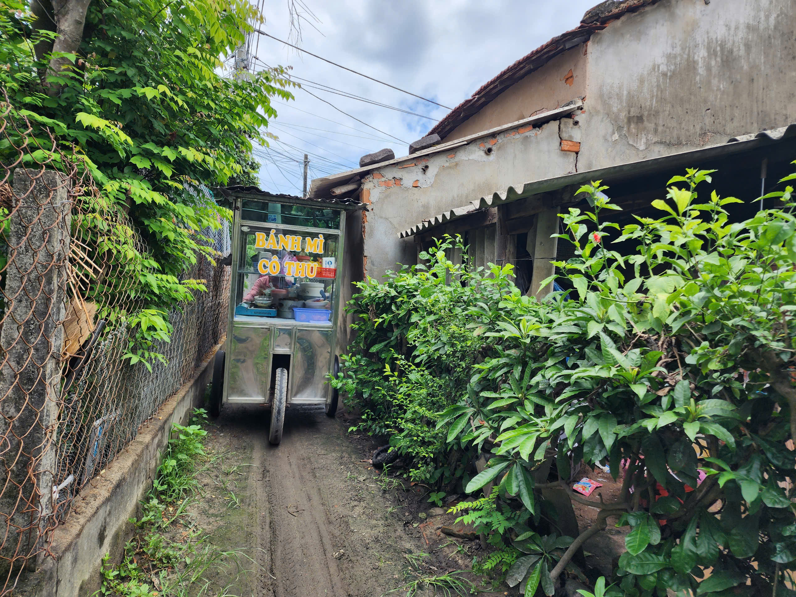 Gỡ quy hoạch treo 30 năm, Quảng Ngãi chuẩn bị khởi công công viên cây xanh Thạch Bích 2 Công viên cây xanh Thạch Bích - Ảnh 2.