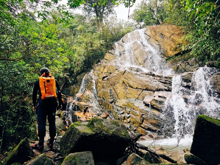 Bồng bềnh mây trắng, hoa rừng ở Pa Thiên - Voi Mẹp 7 Ngay từ những bước chân đầu tiên, người đi đã cảm nhận rõ sự khác biệt của Pa Thiên - Voi Mẹp. Không còn cái lạnh cắt da của mùa Đông, thay vào đó là tiết trời se se, đủ mát để bước đi bền bỉ trên những con dốc dài. Rừng già khoác lên mình tấm áo mới: Dương xỉ vươn tán non, rêu phủ dày hơn trên thân cây, và đâu đó, những chùm hoa rừng lặng lẽ khoe sắc.