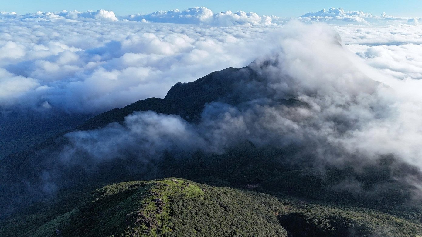 Từ trên đỉnh nhìn xuống, những cánh rừng nguyên sinh trải dài bất tận, thấp thoáng phía xa là dấu hiệu của sự sống mới - những bản làng, những cánh đồng điện gió đang vươn mình trong sương. Đó là bức tranh giao hòa giữa thiên nhiên hoang sơ và nhịp sống con người, vừa yên bình, vừa giàu hy vọng. Giữa thiên nhiên mênh mang ấy, “nóc nhà” Quảng Trị không chỉ như một đỉnh núi cần chinh phục, mà như một không gian để con người tạm dừng, chiêm nghiệm và yêu thêm đại ngàn Trường Sơn.