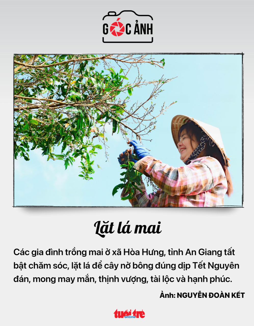 Việt Nam - Ảnh 5.